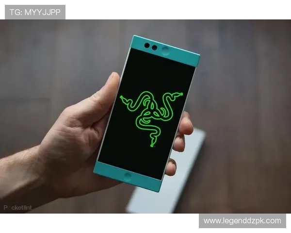 pock集团网址安全指南，确保用户访问pock集团官网时的安全与隐私保护