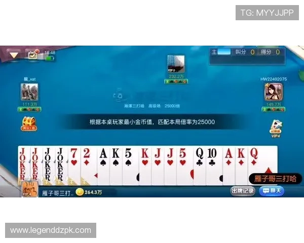 扑克王中文站平台安全保障措施：资金安全与个人隐私保护全方位介绍