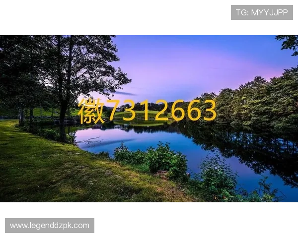 微扑克外挂官网官方入口，专业技术团队提供全面支持与更新服务